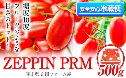 高糖度トマト ZEPPIN PRM(プレミアム)  500g 株式会社ジェイ・イー・ティ・アグリ《120日以内に出荷予定(土日祝除く)》甘い トマト フルーツトマト ミニトマト 糖度10以上 野菜 新鮮 完熟 産地直送 甘味 うまみ 食感 
