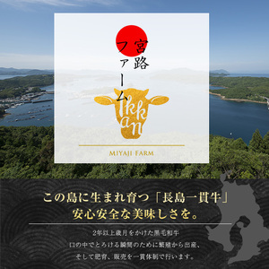 鹿児島県長島町産 黒毛和牛切り落とし (計600g・300g×2P) 牛肉 切り落とし 小分け 黒毛和牛 鹿児島 和牛 切り落とし 牛切り落とし 【宮路ファーム】f-miyaji-572｜ 牛肉 切り