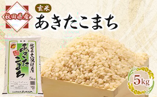 あきたこまち玄米5kg【1595356】