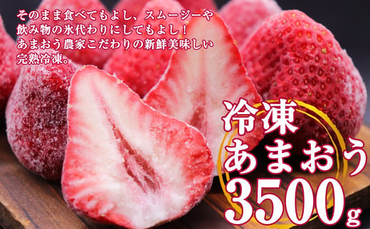 
【数量限定】福岡県産 冷凍 いちご あまおう 3.5kg TY006-1

