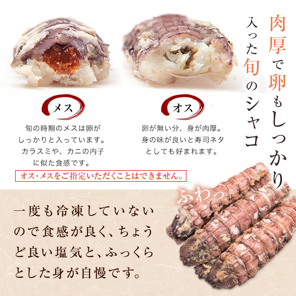 季節限定 宮城県産 浜茹で シャコエビ 500g（オスメス混合）