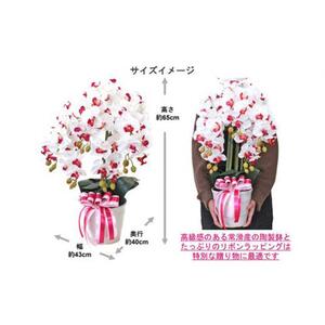 造花 シルクフラワーの胡蝶蘭の鉢植 5本立 CT触媒 ホワイトオーキッド ／ お花 コチョウラン 埼玉県