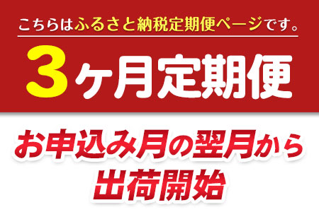 ★3ヶ月定期便★ 季節のお花ブーケ《お申込み月の翌月から出荷開始》椿原園 初回のみ 花瓶付き お花 花