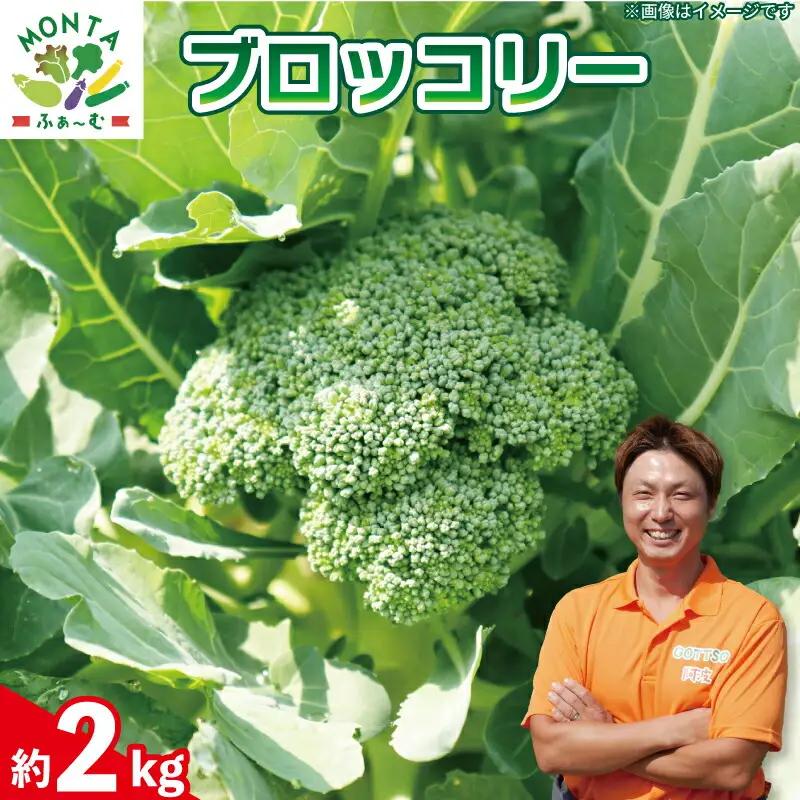 ブロッコリー 約2kg 【 ブロッコリー 】