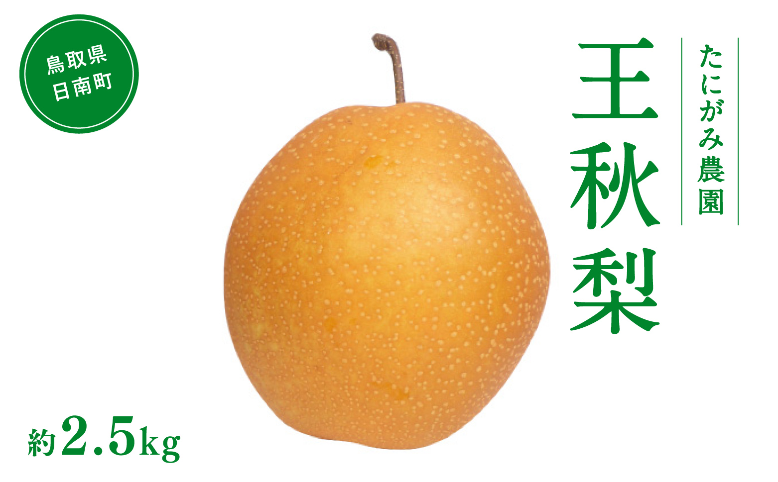 【11月中旬以降順次発送】たにがみ農園 王秋梨 2.5kg (3玉～7玉) 梨 なし フルーツ 果物 くだもの 鳥取県 佐治 梨 なし ナシ