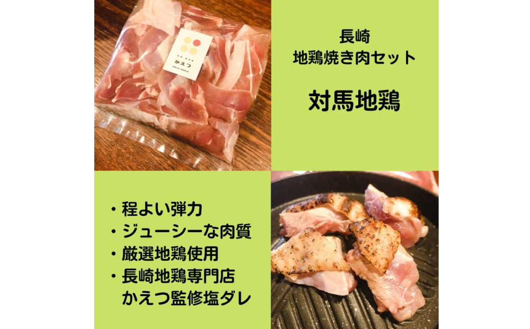 長崎県産 対馬地鶏 焼肉 セット (自家製タレ付)  計約500g ／ 鶏肉 地鶏 モモ肉 ムネ肉 国産 長崎