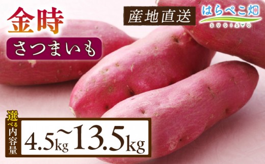 
                  《選べる容量》【ホックホク食感の優しい甘み】さつまいも金時 4.5kg・H064-SKU
                