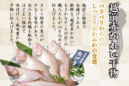 【先行予約】訳あり越前ズワイ蟹(大) 2杯 と 干しカレイ 4匹【2024年1月～3月発送予定】 [O-1601]