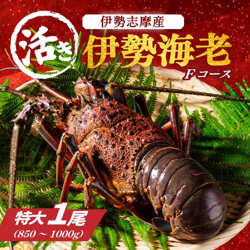 特大 活き 伊勢海老 F コース 1尾 850〜1000g 山金商店 伊勢えび エビ 高級 グルメ 焼き物 汁物 海鮮 特産 海の幸 魚介 海老 伊勢志摩