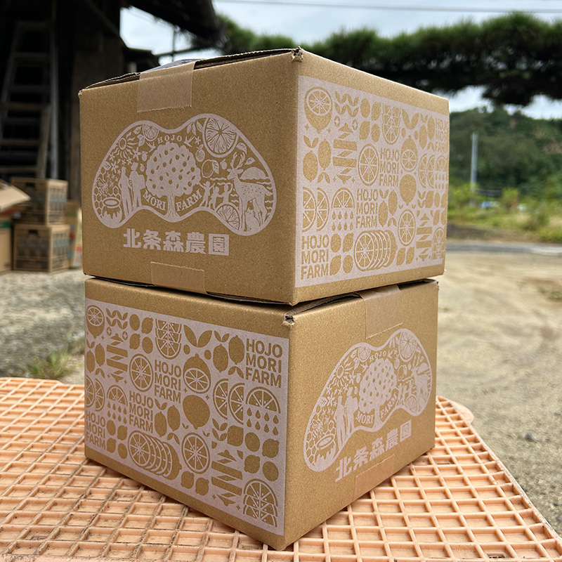 【2026年10月上旬頃より順次発送】数量限定 もりのしずくれもん  1.5kg 国産 | グリーンレモン イエローレモン