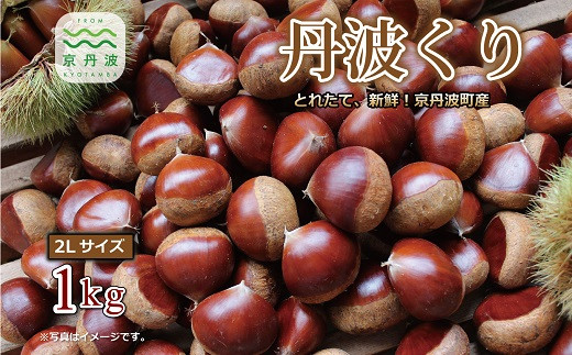 
                  ≪数量限定≫丹波くり とれたて 1kg 京都 京丹波町産 栗【大粒 和栗 国産栗 地域限定 丹波栗 くり 栗 栗ご飯】 ※北海道・沖縄は配送不可 [012IM001L]
                