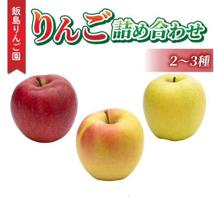 【ふるさと納税】旬の色々りんごの詰め合わせセット（2〜3種）｜飯島りんご園　※10月中旬〜順次発送