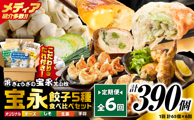 【定期便・全6回 毎月】手包み餃子 ぎょうざの宝永 5種食べ比べセット（65個入）　T004-T07-04