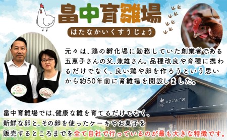 畠中育雛場のげんきタマゴん 30個 《30日以内に出荷予定(土日祝除く)》福岡県 鞍手郡 小竹町 卵 送料無料 有限会社畠中育雛場