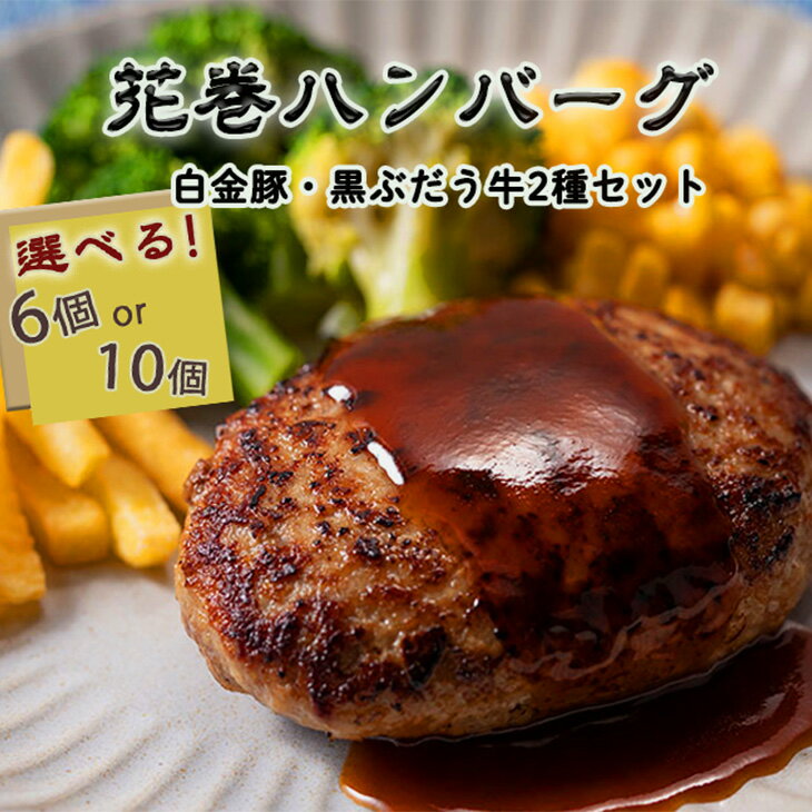 【ふるさと納税】白金豚と黒ぶだう牛 ハンバーグ・味噌deハンバーグ ≪選べる内容量 6個入 10個入≫ 豚肉 牛肉 ブランド肉