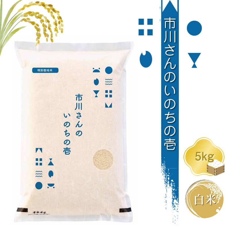 
特別栽培米　市川さんのいのちの壱　令和6年産【白米5kg】　精米　コメ　信州　希少　おいしい　ごはん【 米 コメ 備蓄品 仕送り おすそ分け 備蓄米 長野県 佐久市 】
