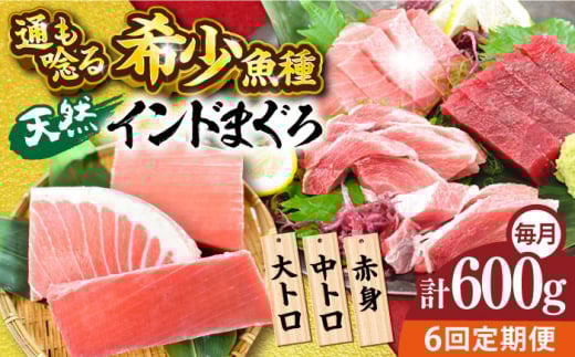 【全6回定期便】天然 まぐろ 大トロ・中トロ・赤身（約200ｇ×3柵）約600ｇ 鮪 マグロ 魚 刺身 横須賀【本まぐろ直売所】 [AKAK081]