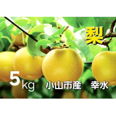 
                  ＜5kg＞栃木県小山市産　幸水 梨【1617300】
                