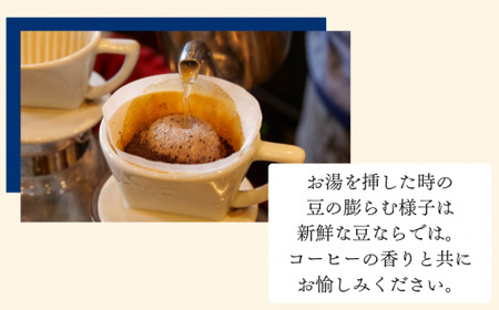 沼津ブランド! 花野子 ブレンド 500g (豆) 珈琲 コーヒー プレゼント ギフト 静岡 沼津 母の日 父の日