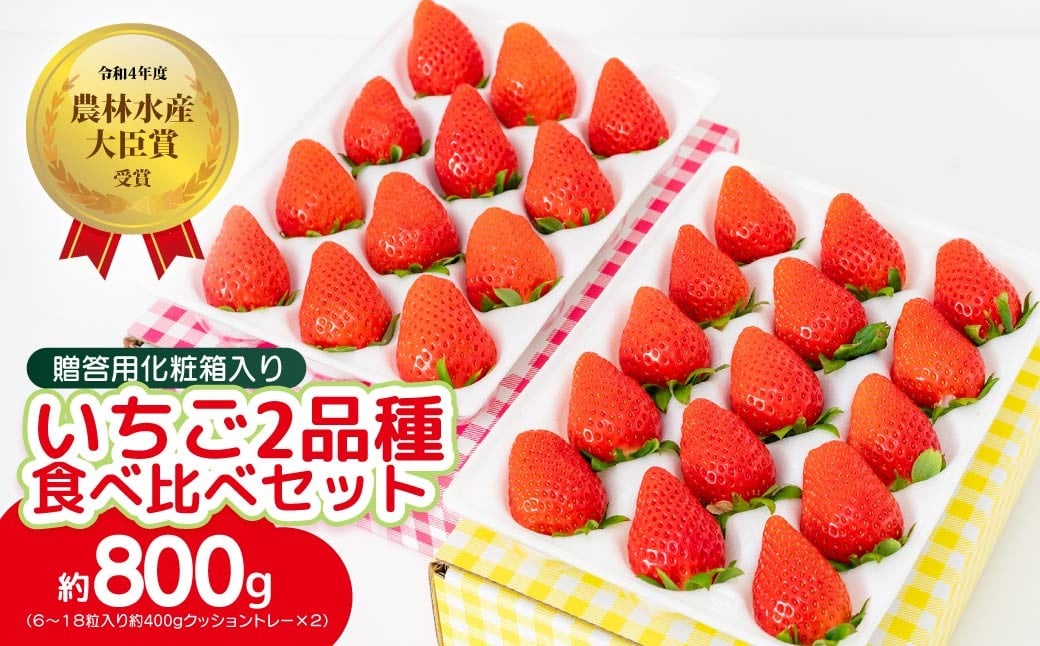 
            【2026年 先行予約】いちご 贈答用 2品種 食べ比べ 約400g入りトレー×２ 計800g 農林水産大臣賞受賞農園｜イチゴ 苺 フルーツ やよいひめ あまおとめ さちのか 紅ほっぺ おいCベリー 甘雫姫 スターナイト 星うらら コク 甘み 朝採れ 産地直送 贈り物 新鮮 完熟 旬 人気 高評価 群馬県 前橋市
          