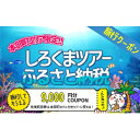 【ふるさと納税】【本部町】しろくまツアーで利用可能なWEB旅行クーポン（9千円分）