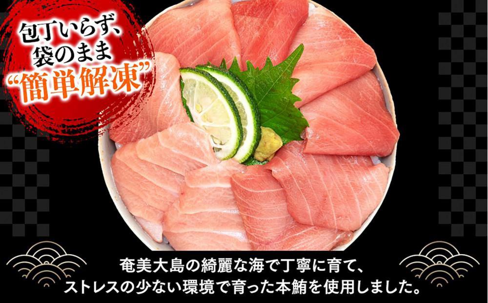 福岡市グルメ糸島海鮮堂のクロマグロ丼3食セット