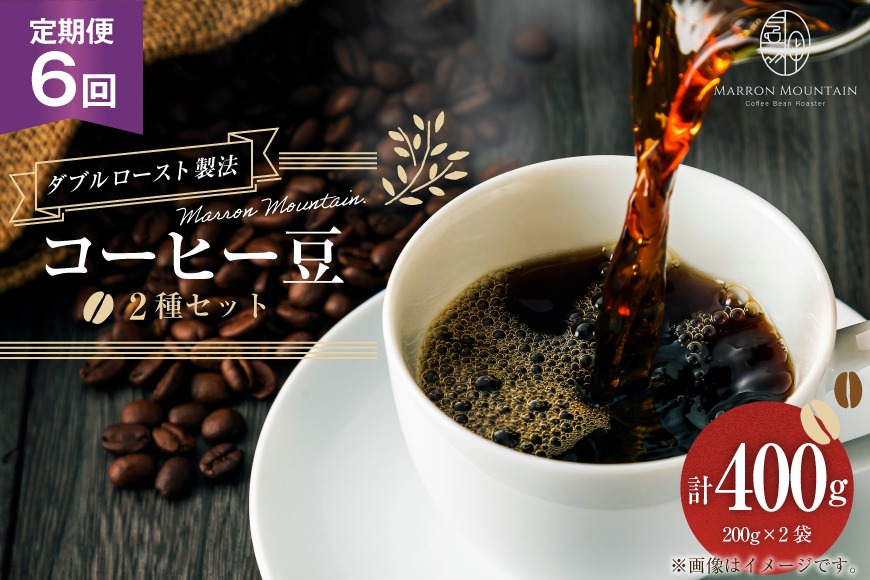 定期便 6回 コーヒー豆 2種セット 200g×2袋 [株式会社MARRON MOUNTAIN 埼玉県 小川町 310] 珈琲 ドリップ ダブルロースト製法 フルシティロースト