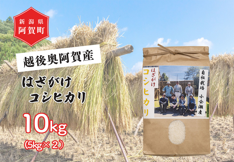 
            《令和6年産米》 越後奥阿賀産はざがけ（天日干し）コシヒカリ　10kg（5kg×2袋）
          