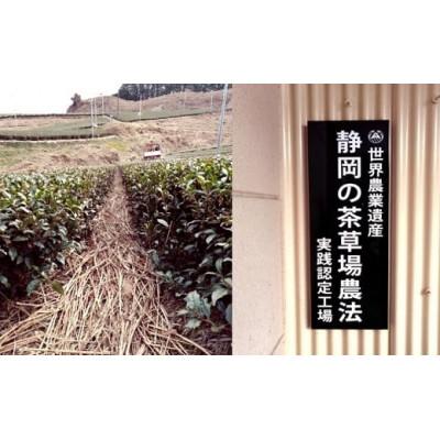 ふるさと納税 掛川市 掛川の小さな茶農家直送 農業遺産茶草場実践工場 深蒸し掛川茶「うぐいす」 200g×2 |  | 03