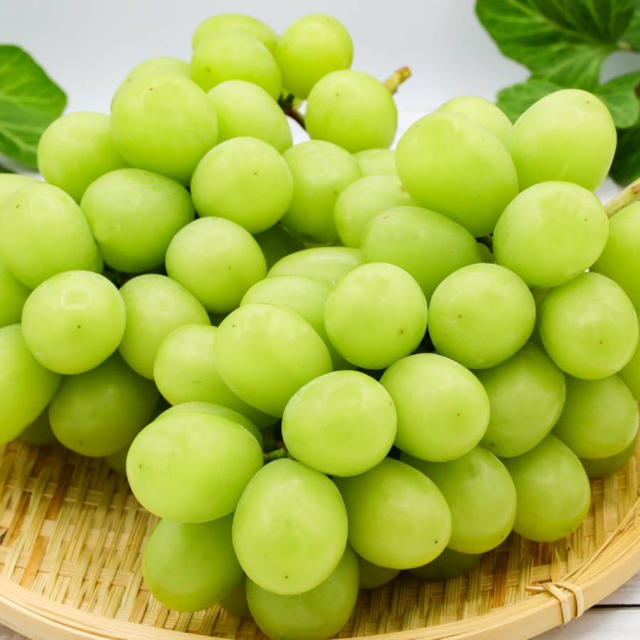 ＜みらいパーク竜王＞「旬の果物」【定期便3回】