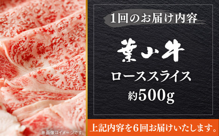【全6回定期便】【葉山牛】500g　ローススライス ／ 牛肉 黒毛和牛 神奈川県 特産品【葉山牛ステーキレストラン 角車】[ASBD042]