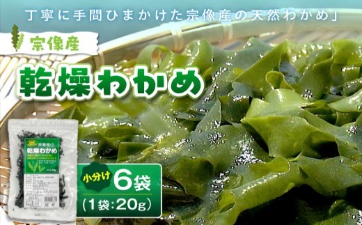 宗像産 乾燥カットわかめ 20g×6袋セット（計120g）【道の駅むなかた】_HA0444
