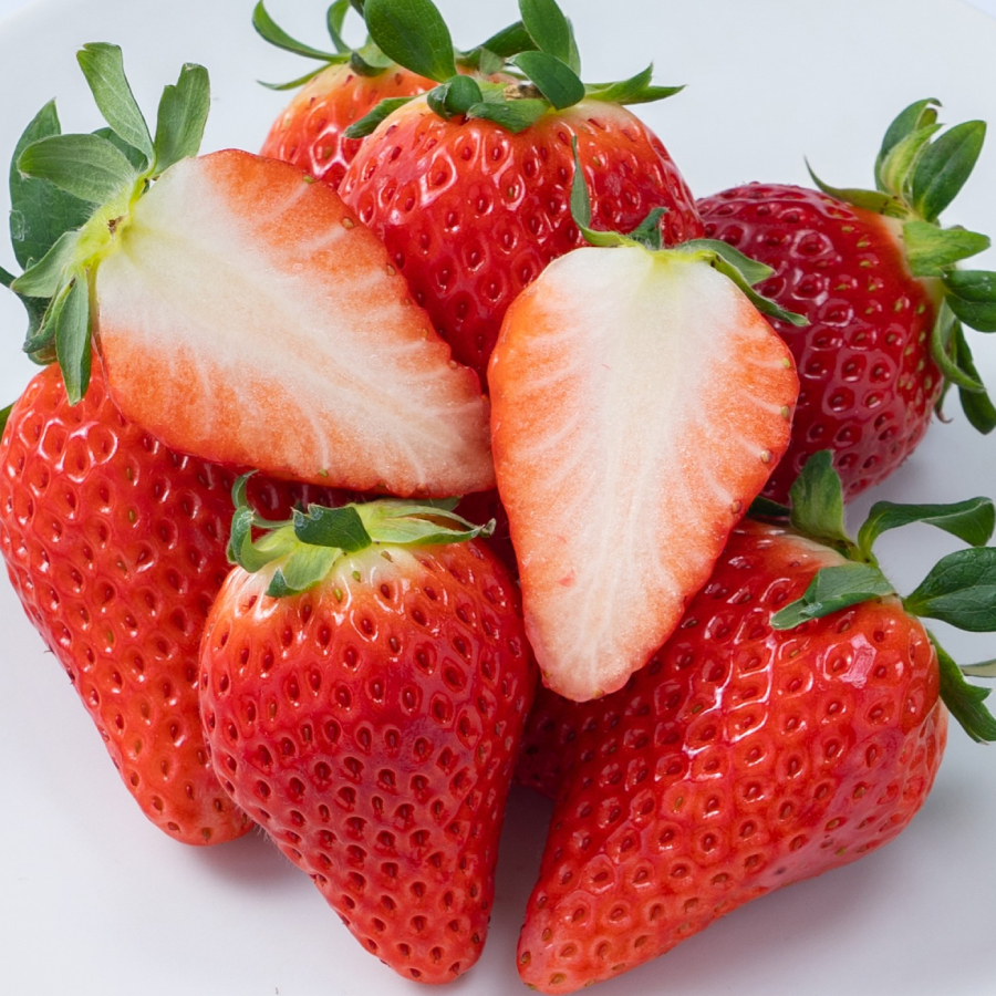 ＜岩田屋本店・南国フルーツ＞佐賀のいちご・さがほのか6パック