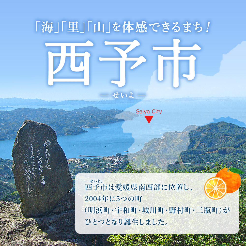 ＜おはこやがつくる ニューサマーオレンジ（日向夏） 約3kg（L～3Lサイズ）＞ 果物 くだもの フルーツ 柑橘 ミカン 蜜柑 みかん にゅーさまーおれんじ 小夏 特産品 西宇和 愛媛県 西予市