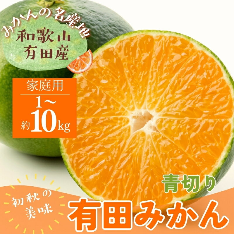 【ふるさと納税】 【先行予約】【2025年9月中旬〜10月中旬頃発送予定】【初秋の美味】【農家直送】有田育ちのご家庭用青切り有田みかん1kg～10kg 選べる容量