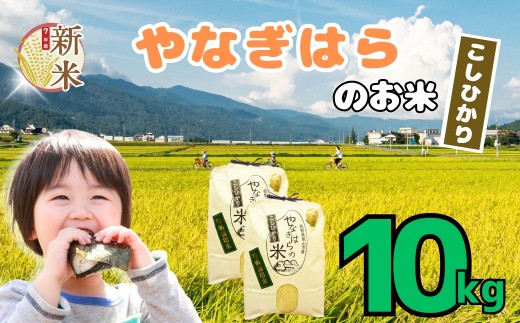 【先行予約】＜令和7年産新米＞ 特別栽培米 「やなぎはらの米 こしひかり」10㎏ 《2025年月10月中旬〜発送》 (7-68) お米 コメ 白米 ご飯 長野県 信州 飯山市 新米 令和7年 コシヒカリ 産地直送 農家直送
