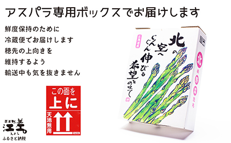 ＼夏アスパラ 先行予約受付中／北海道江差町産 アスパラガス【M～Lサイズ】 1kg　30～40本　朝採り　農家直送　新鮮　鮮度保持　北海道　旬野菜　グリーンアスパラ　アスパラ　ギフト　贈答