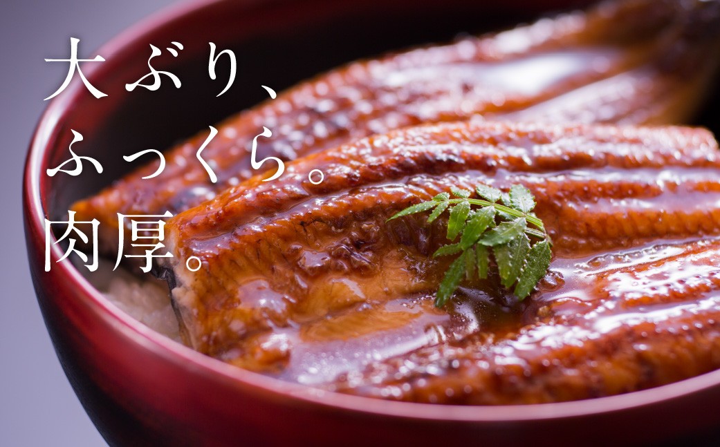 大ぶり、ふっくら肉厚。