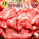 【ふるさと納税】豊後牛 切り落とし 500g 250g×2パック 正統派黒毛和牛 竹田 おおいた豊後牛 黒毛和牛 和牛 牛肉 A4ランク以上 切落し 小間切れ 小分け 冷凍 すき焼き 肉じゃが しゃぶしゃぶ 九州産 国産 送料無料