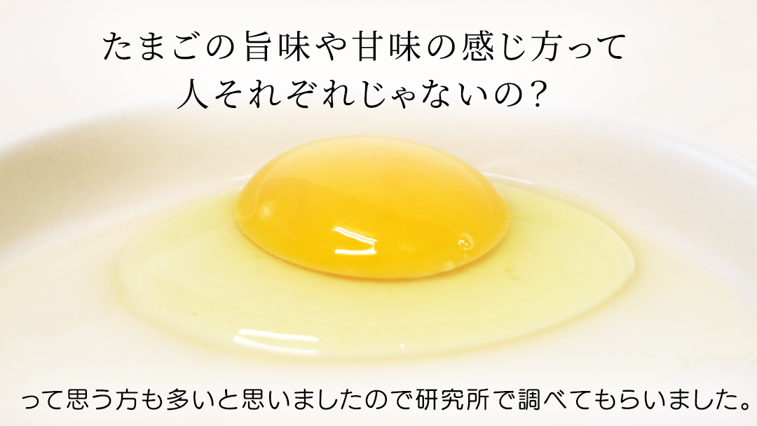 純国産鶏【さくらともみじ】純たまご30個 (破損保証5個含む)【3ヶ月連続お届け】 (AJ032)