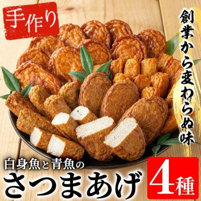 ふるさと納税 いちき串木野市 寺田屋 手作りさつま揚げ 白身魚・青魚のつけ揚げ 味比べセット