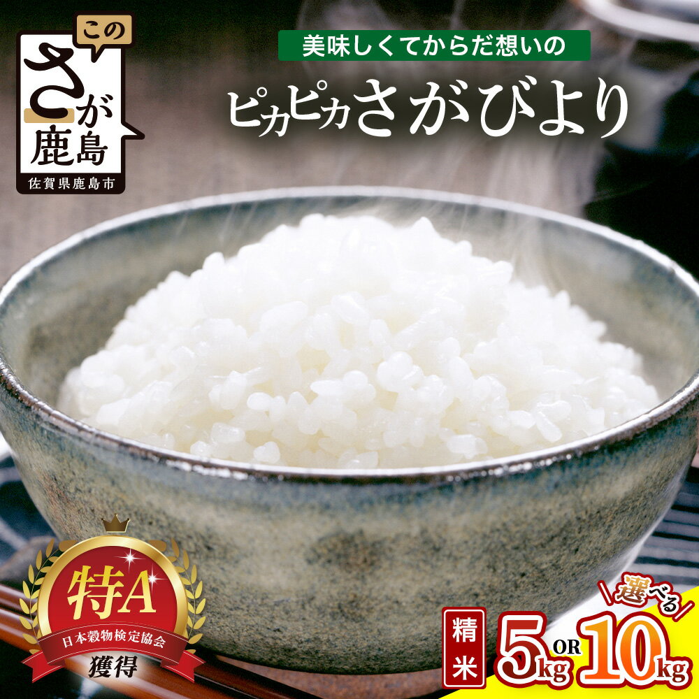 【ふるさと納税】さがびより 白米5kg / 10kg 令和7年産《からだ想いのピカピカさがびより》発送直前精米 精米したて ふるさと納税 米 お米 精米 新米国産 5kg 10kg 安全安心 生産者直送 佐賀県 鹿島市 ふるさと 人気 送料無料 C-184