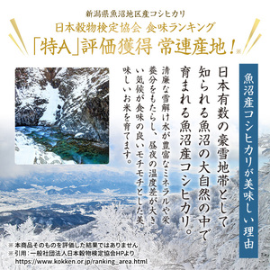 【令和7年産米】魚沼産こしひかり(十日町地域) 精米 2kg 8月配送 お米 精米 こめ ご飯 白米 旧：五郎兵衛