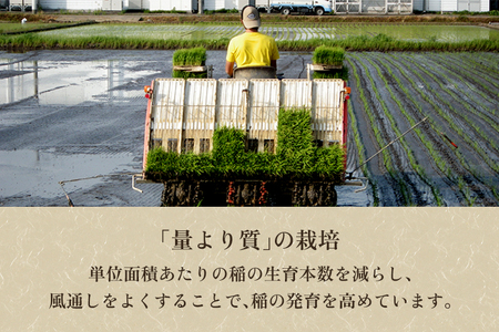 【令和8年産新米先行予約】【定期便6ヶ月毎月お届け】新潟県加茂市産コシヒカリ 精米25kg（5kg×5）《10月上旬～順次出荷》 白米 （株）ライスグローワーズ