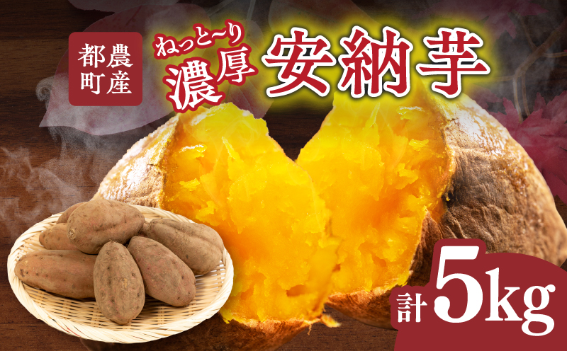 先行予約≪期間限定≫都農町産安納芋(計5kg) 野菜 芋 イモ 国産_T016-0011