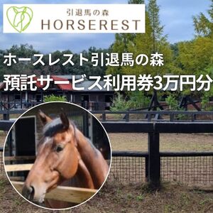 馬の養老牧場　預託利用券3万円分～ホースレスト引退馬の森～