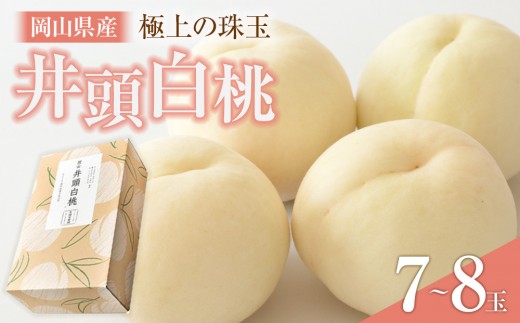 桃 【2026年6月発送】  井頭 白桃 7～8玉入り 2.2kg規格箱 もも モモ 岡山県産 国産 フルーツ 果物 ギフト 井頭栄果園