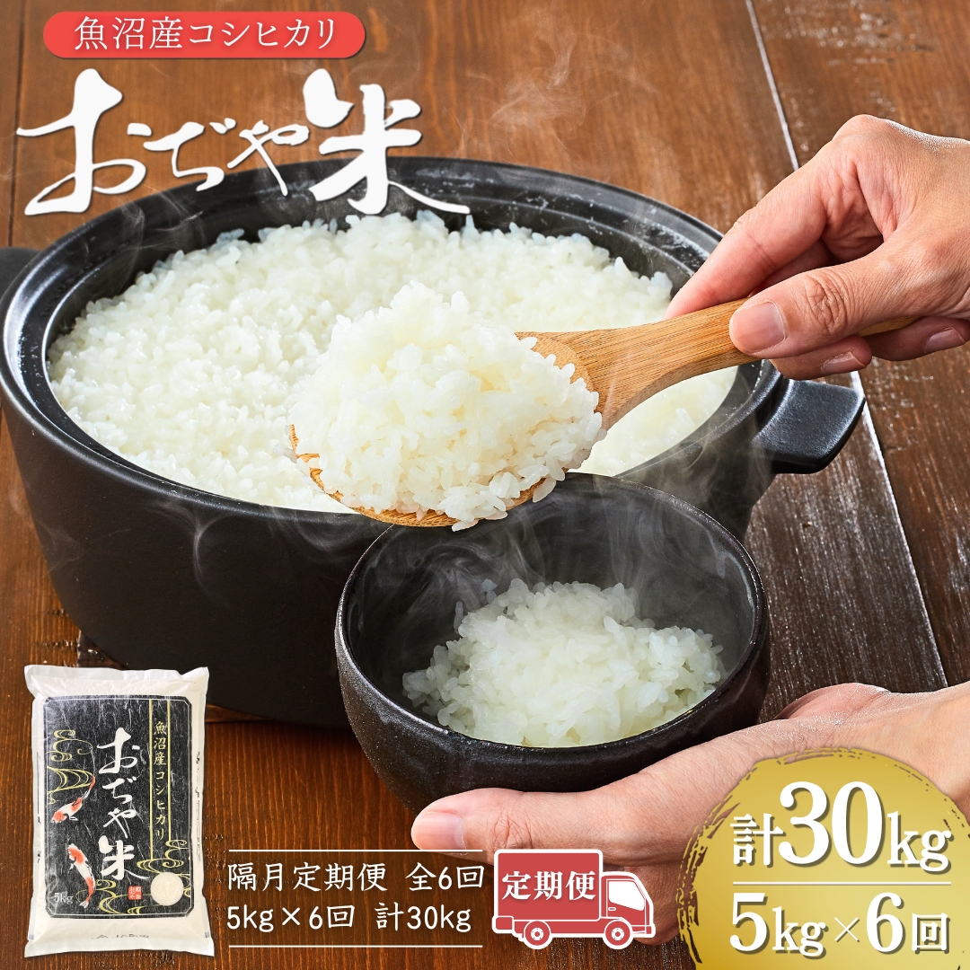 【6か月定期便（隔月発送）】 令和7年産 魚沼産コシヒカリ「おぢや米」 計30kg（5kg×1袋×全6回） | 新潟県産コシヒカリ 米 お米 こめ こしひかり 魚沼産 小千谷市 白米 精米 ブランド米【0002-JA06DB00-03】