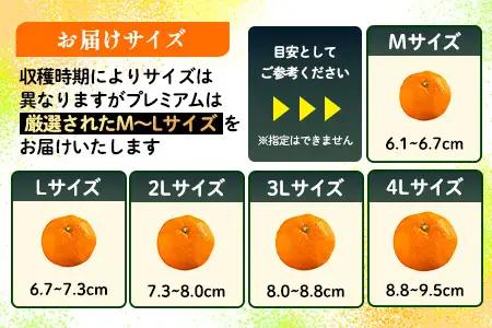 【2026年11月中旬頃～12月頃配送予定】プレミアム黒酢みかん 約5kg (M / Lサイズいずれか ) のし対応 温州みかん 柑橘 B-910