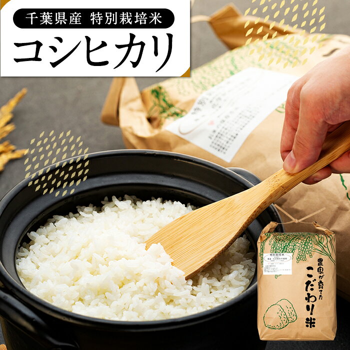 【ふるさと納税】特別栽培米　コシヒカリ（白米）4.5kg 〜 27kg 令和7年産米 白米 精米 米 ふるさと 納税 千葉県 長生村